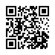 Mobile two-dimensional code scanning