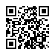 Mobile two-dimensional code scanning