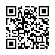 Mobile two-dimensional code scanning