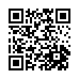 Mobile two-dimensional code scanning