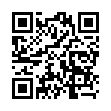 Mobile two-dimensional code scanning