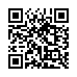 Mobile two-dimensional code scanning