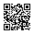Mobile two-dimensional code scanning