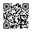 Mobile two-dimensional code scanning