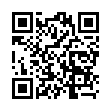 Mobile two-dimensional code scanning