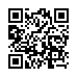 Mobile two-dimensional code scanning