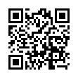 Mobile two-dimensional code scanning