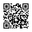 Mobile two-dimensional code scanning