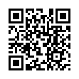 Mobile two-dimensional code scanning