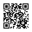 Mobile two-dimensional code scanning
