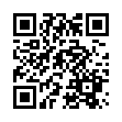 Mobile two-dimensional code scanning