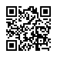 Mobile two-dimensional code scanning