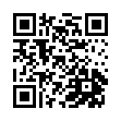 Mobile two-dimensional code scanning