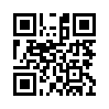 Mobile two-dimensional code scanning