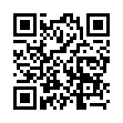 Mobile two-dimensional code scanning