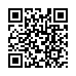 Mobile two-dimensional code scanning
