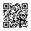 Mobile two-dimensional code scanning