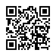 Mobile two-dimensional code scanning