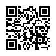 Mobile two-dimensional code scanning