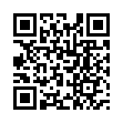 Mobile two-dimensional code scanning