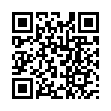 Mobile two-dimensional code scanning
