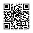 Mobile two-dimensional code scanning