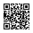 Mobile two-dimensional code scanning