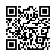 Mobile two-dimensional code scanning