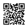Mobile two-dimensional code scanning